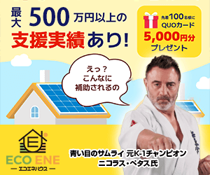 エコエネハウス