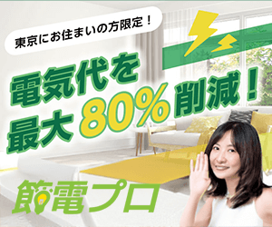 節電プロ