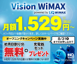Vision Wimax